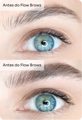 depoimento_flow_03
