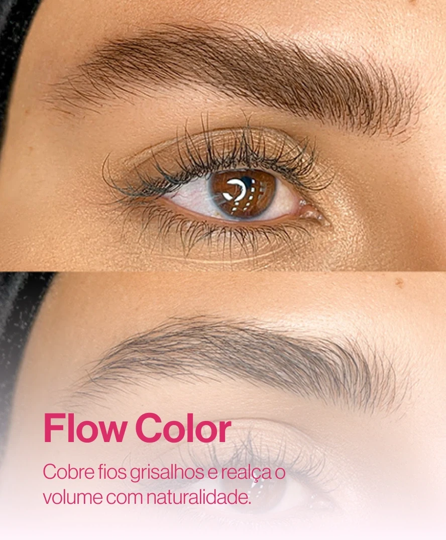 flow_color_1x_1x.webp